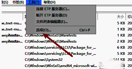 点击Everything软件选项列表