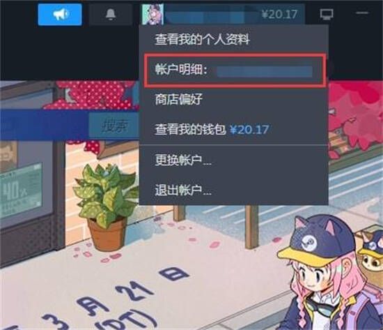 Steam账户明细界面配图