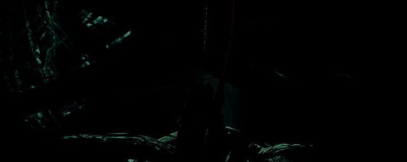 怪物猎人荒野相关图片