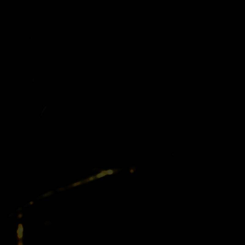 《明末:渊虚之羽》游戏截图