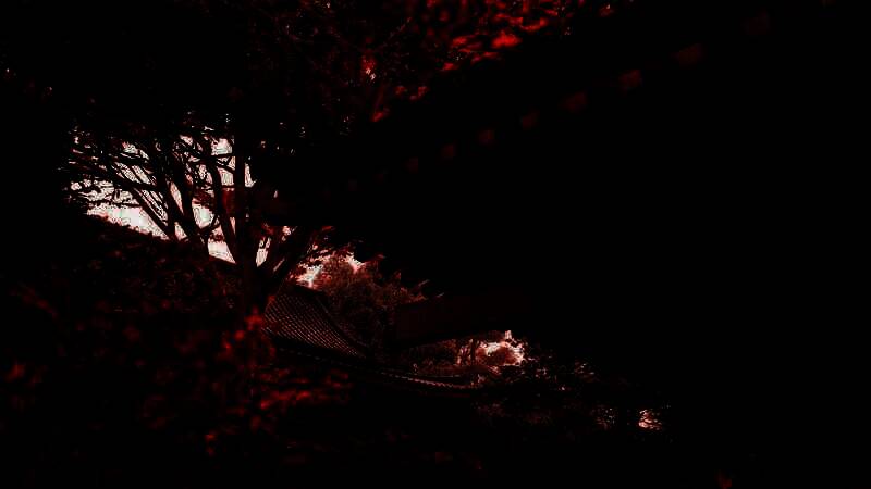 《刺客信条:影》游戏截图之美丽景色