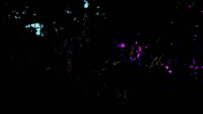 《刺客信条:影》游戏截图之别样风光