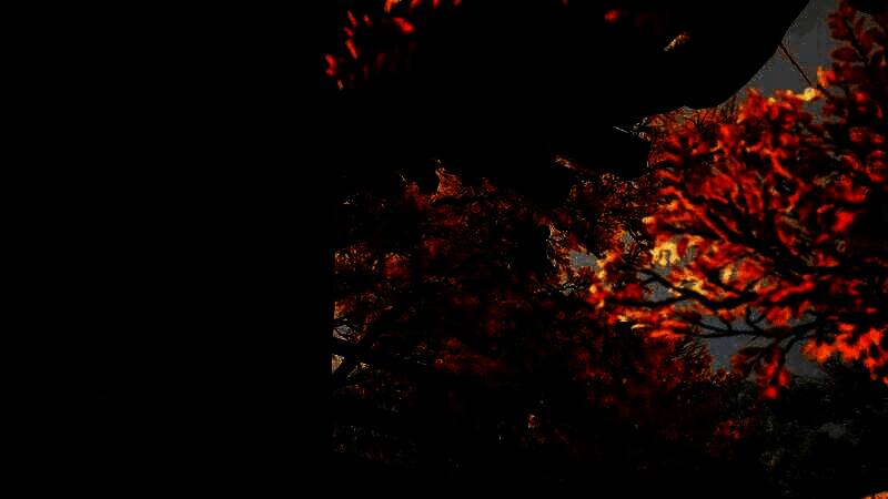 《刺客信条:影》游戏截图之精彩瞬间