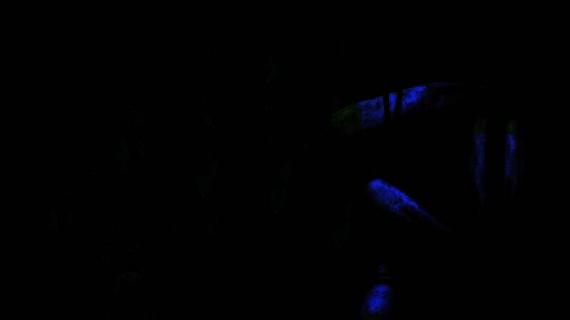 《刺客信条:影》游戏截图之壮丽景象