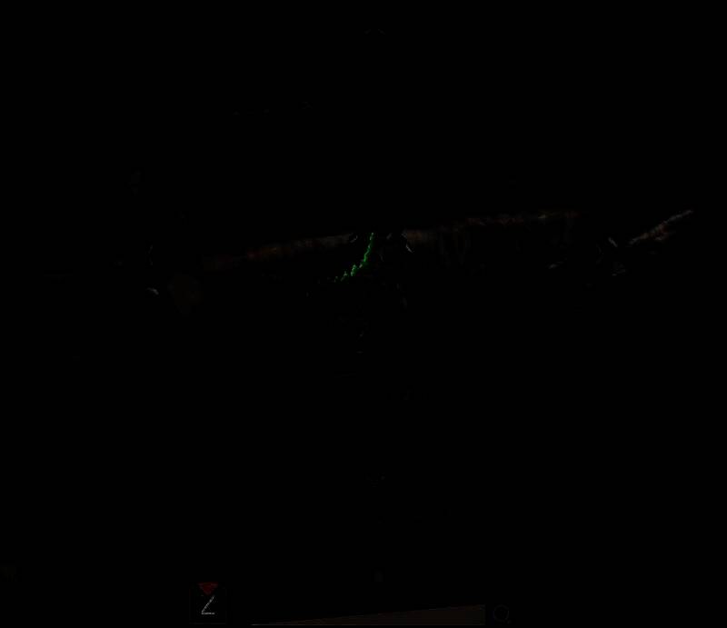 火焰蜥蜴的样子