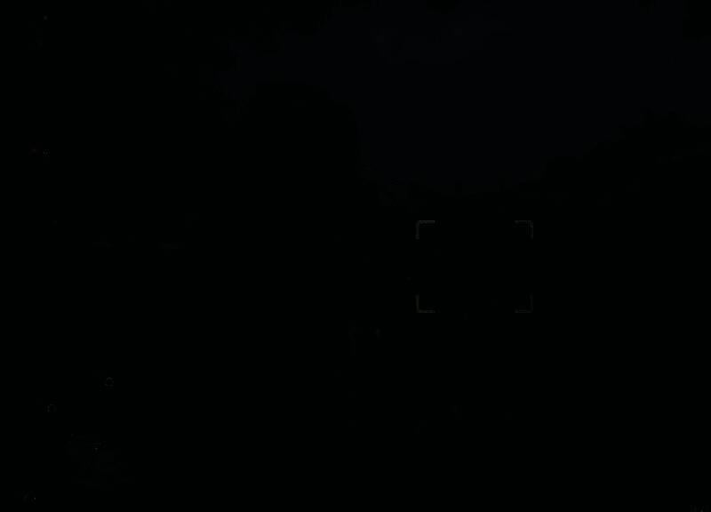 《怪物猎人：荒野》端丽翼鸟可能出现的位置示意