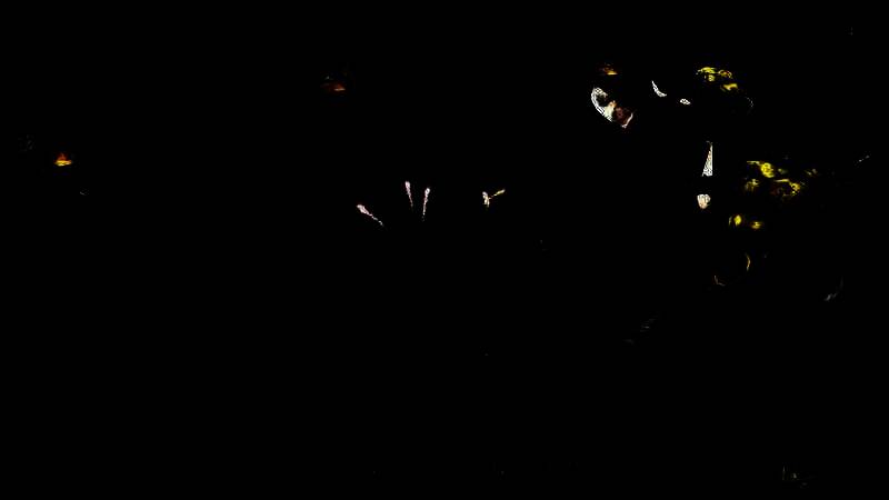 《鬼武者2：复刻版》视频截图5