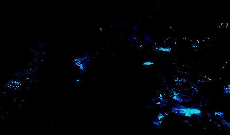 游戏相关配图 2