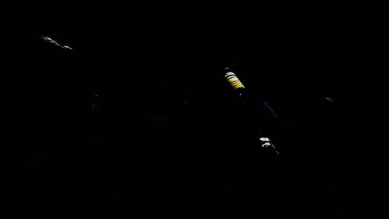 《潜行者2》视频截图5