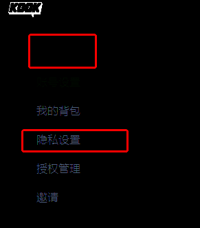 隐私设置界面图