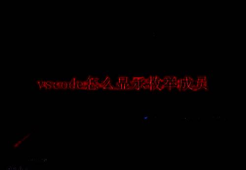VSCode 软件界面示例图