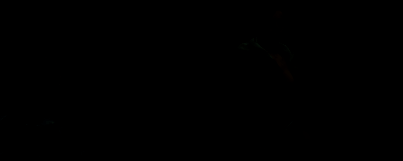 怪物猎人荒野游戏画面