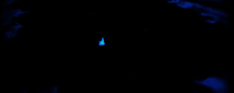 《RAEV: Kingdom on the Distant Shores》相关图片1