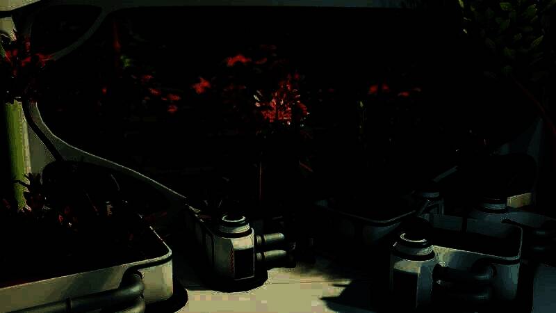 玩家打造异星家园画面