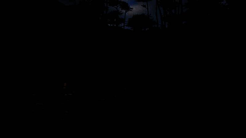 玩家应对生存挑战画面