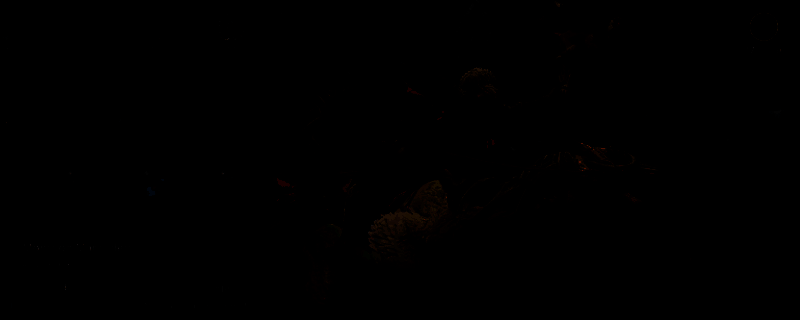 怪物猎人荒野相关游戏画面