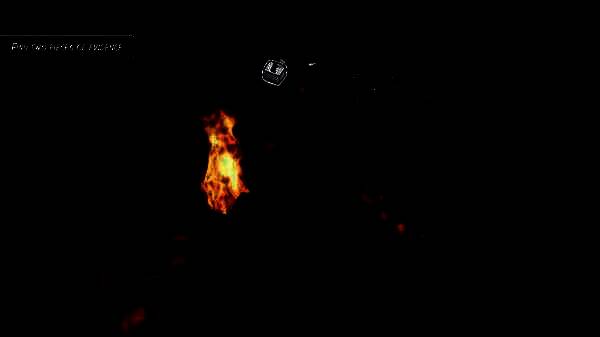 《Finch & Archie》游戏相关图片3