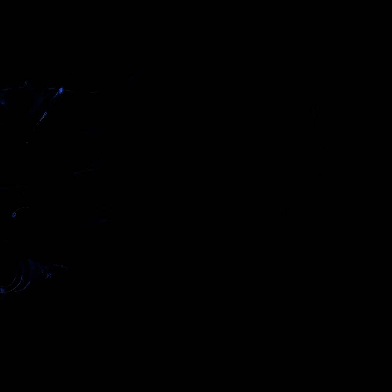 《午夜之南》概念艺术图中的独特怪物