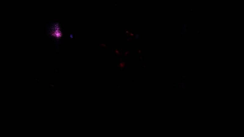 《鬼武者2:复刻版》视频截图3