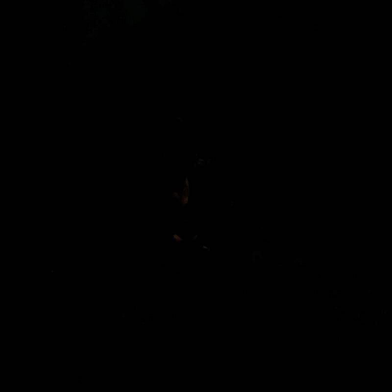 制作人夏思源相关交流截图