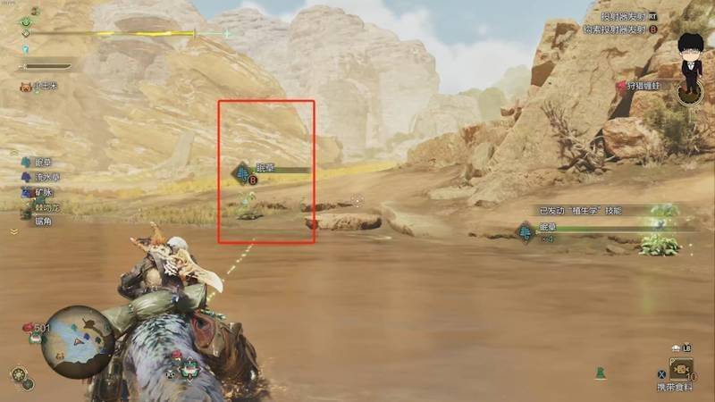 《怪物猎人:荒野》眠草和蜂蜜采集路线图片4