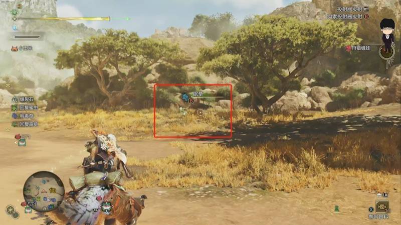 《怪物猎人:荒野》眠草和蜂蜜采集路线图片6