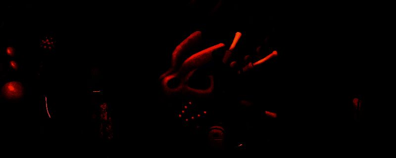 双点博物馆相关展示图片