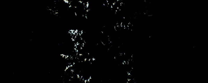 《Dolls Nest》游戏相关图片1