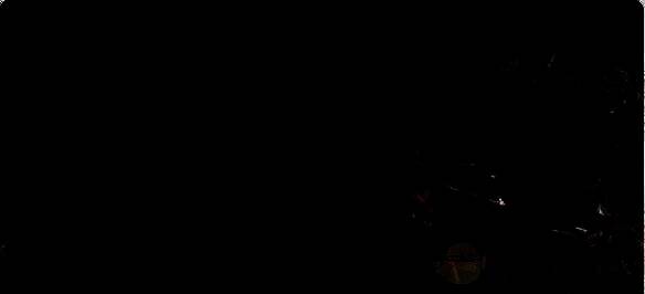 勒瓦妮丝和贝伦加游戏形象