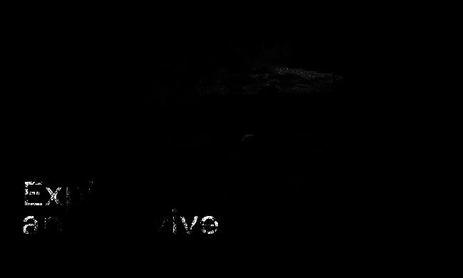 荒野先驱游戏画面2