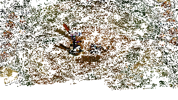 艾克实战效果动图