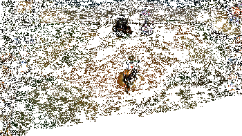 纳亚菲利实战效果动图