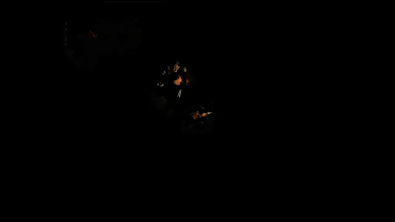 《腐化容器》视频截图4