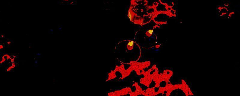 咒语旅团游戏画面相关图片