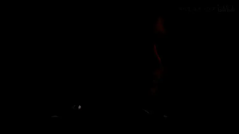 《方舟：失落之地》动画截图1