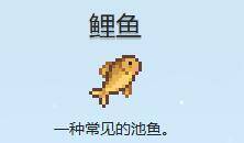 星露谷物语中的鲤鱼