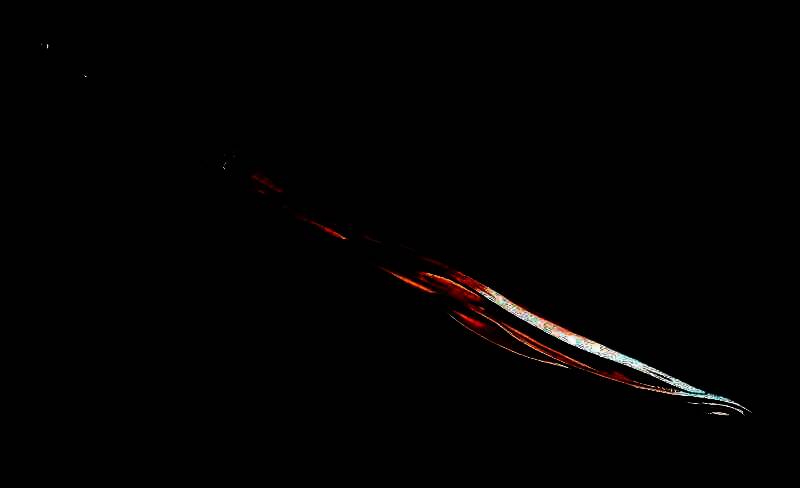 龙之侍刃战斗场景图