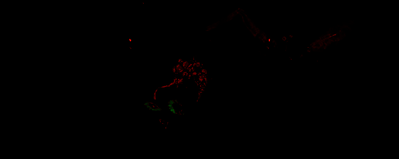 《Bylina》相关图片1