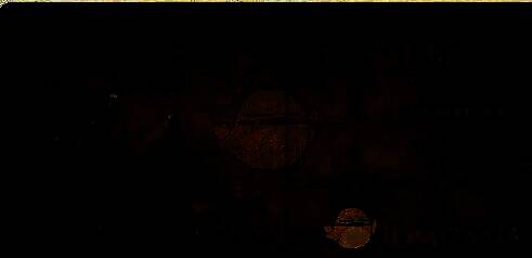 《龙息神寂》战斗场景