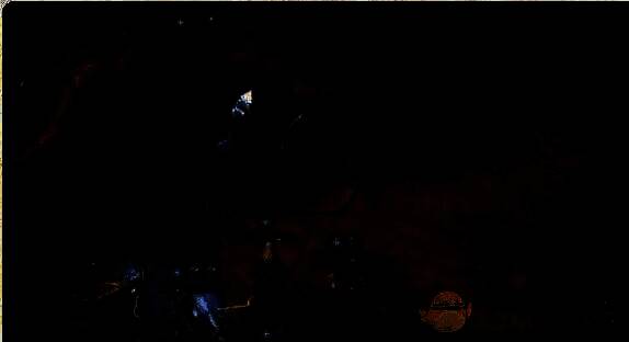 《龙息神寂》角色装备界面