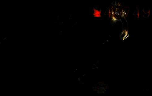 游戏中盾辅角色相关画面