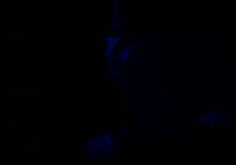 洞穴内游泳到对岸的场景图