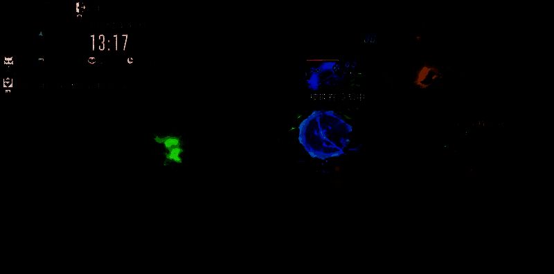 卡尼曼刺客相关图片