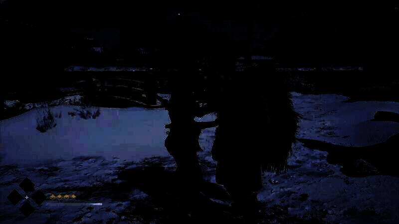 《刺客信条：影》游戏画面17