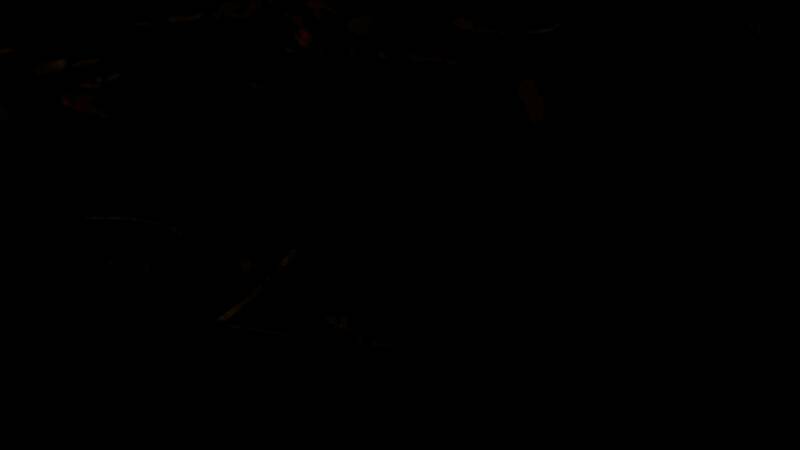 《寂静岭f》相关画面3