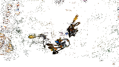 金铲铲之战S14维迦实战效果动图