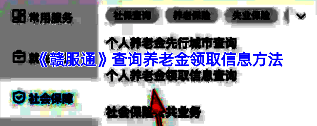 赣服通查询养老金相关页面示例图1