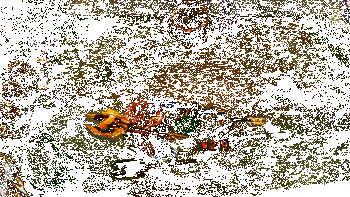 莫德凯撒实战动图