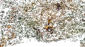 韦鲁斯实战效果动图