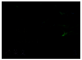 德莱文弈子形象图片